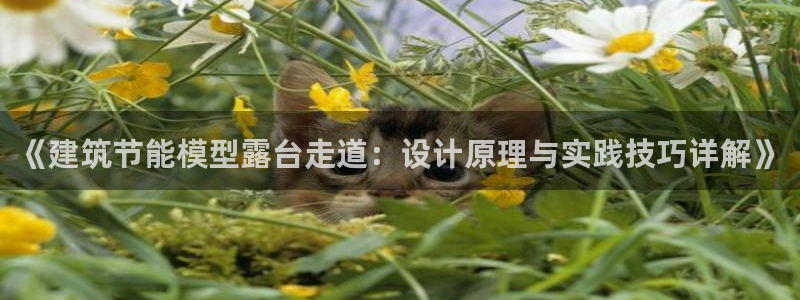 e尊国际客户端：《建筑节能模型露台走道：设计原理与实践技巧详解》