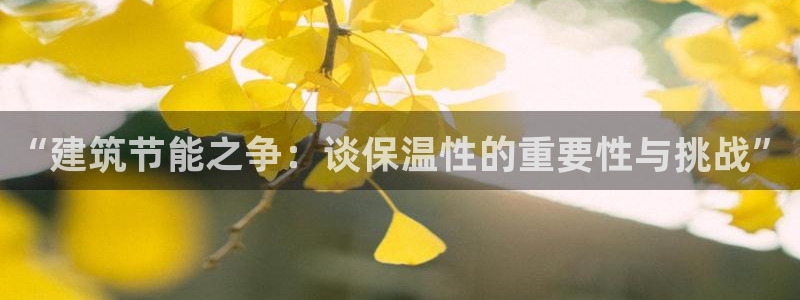 e尊国际7779：“建筑节能之争：谈保温性的重要性与挑战”