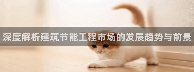 e尊国际客服：深度解析建筑节能工程市场的发展趋势与前景