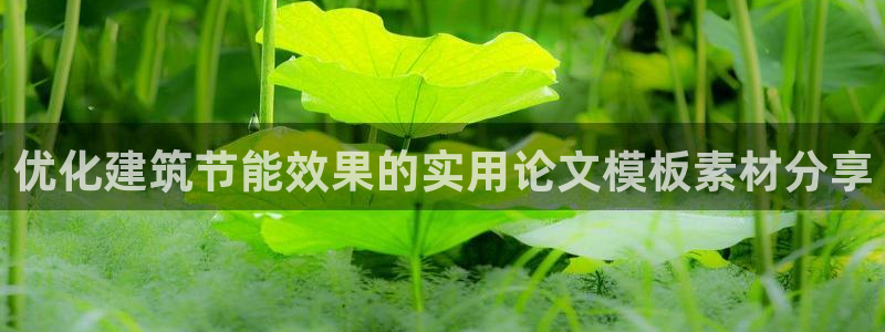 e尊国际是干什么的：优化建筑节能效果的实用论文模板素材分享