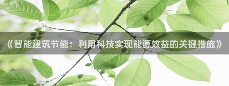 E尊国际网站：《智能建筑节能：利用科技实现能源效益的关键措施》