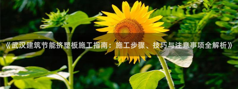 尊亿游戏国际官网：《武汉建筑节能挤塑板施工指南：施工步骤、技巧与注意事项全解析》