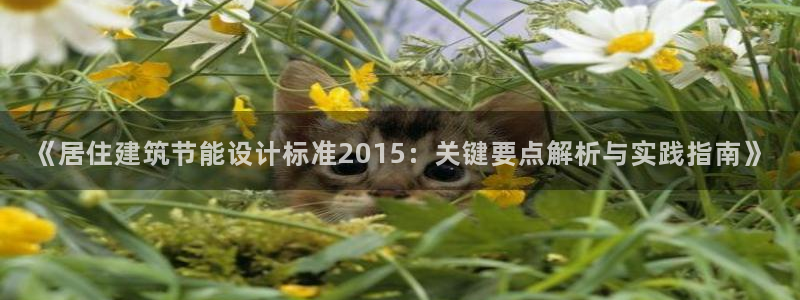 尊亿娱乐国际官网：《居住建筑节能设计标准2015：关键要点解析与实践指南》