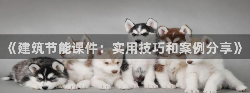 e尊国际-可可计划：《建筑节能课件：实用技巧和案例分享》