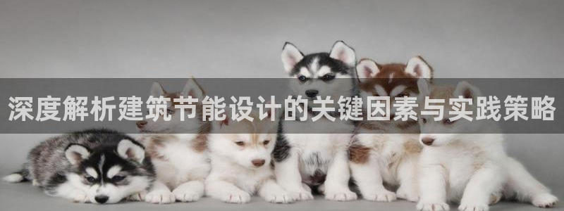e尊国际平台：深度解析建筑节能设计的关键因素与实践策略