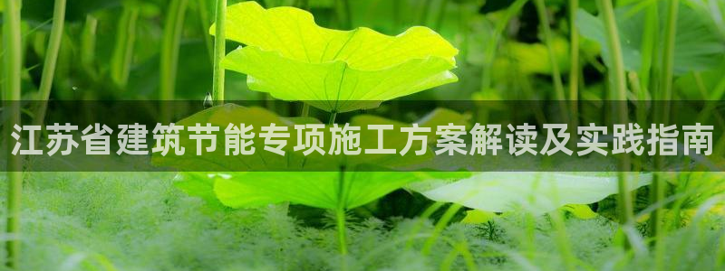 e尊国际官网：江苏省建筑节能专项施工方案解读及实践指南