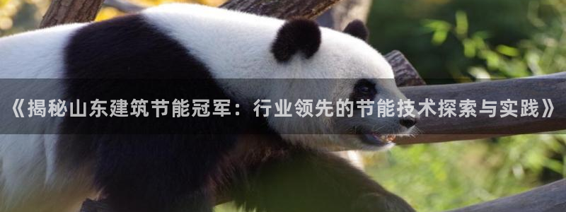 e尊国际-可可计划：《揭秘山东建筑节能冠军：行业领先的节能技术探索与实践》