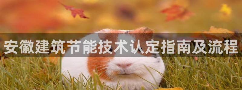 e尊国际是干什么的：安徽建筑节能技术认定指南及流程