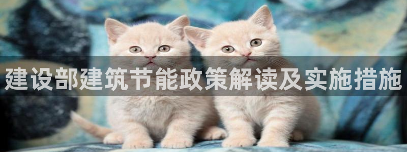e尊国际是干什么的：建设部建筑节能政策解读及实施措施