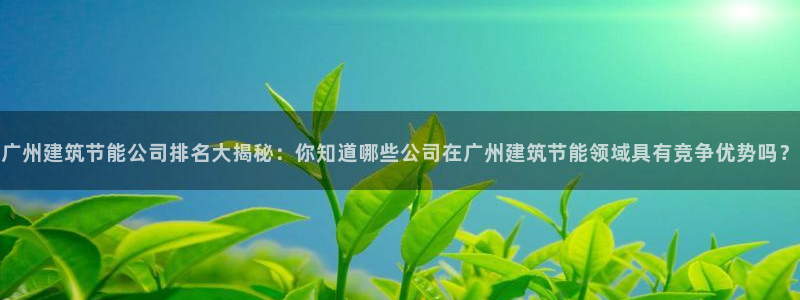 e尊国际官网：广州建筑节能公司排名大揭秘：你知道哪些公司在广州建筑节能领域具有竞争优势吗？