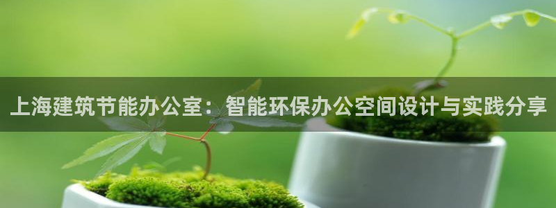 e尊国际-e尊国际官网：上海建筑节能办公室：智能环保办公空间设计与实践分享