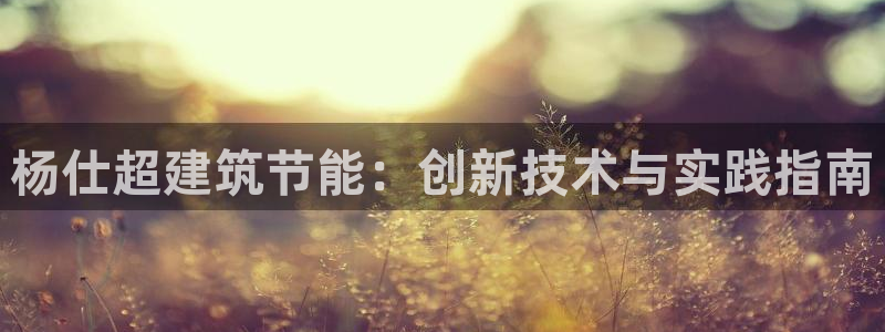e尊国际客户端下载：杨仕超建筑节能：创新技术与实践指南