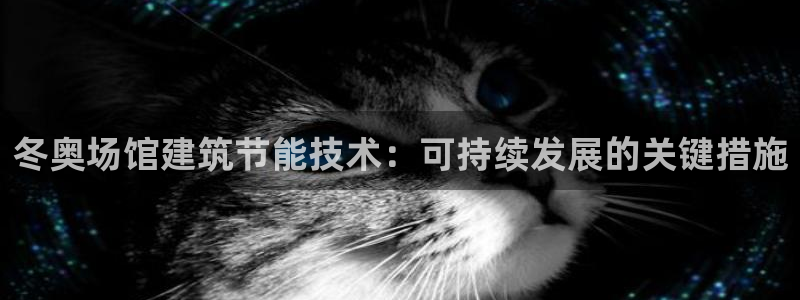 e尊国际是个黑网：冬奥场馆建筑节能技术：可持续发展的关键措施