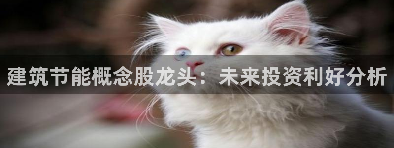e尊国际平台：建筑节能概念股龙头：未来投资利好分析