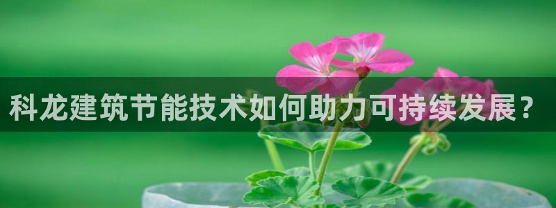 e尊国际娱乐官网下载：科龙建筑节能技术如何助力可持续发展？