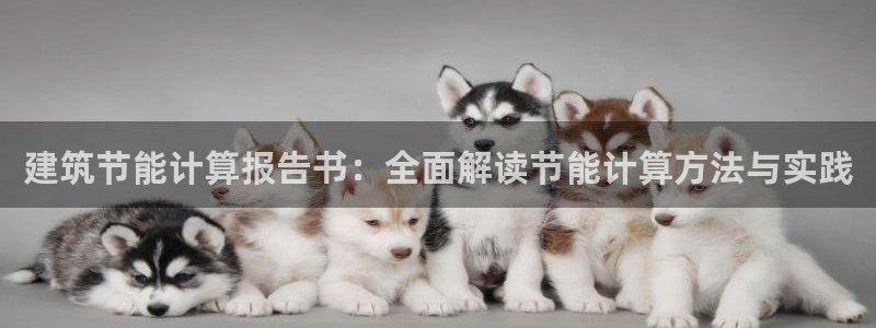 尊亿游戏国际官网：建筑节能计算报告书：全面解读节能计算方法与实践