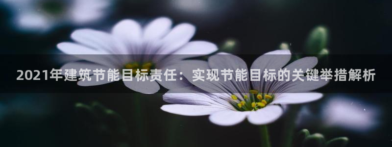 e尊国际客户端下载：2021年建筑节能目标责任：实现节能目标的关键举措解析