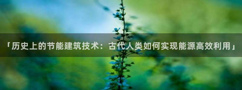 e尊国际网址：「历史上的节能建筑技术：古代人类如何实现能源高效利用」