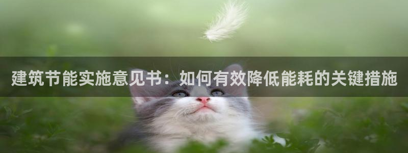 e尊国际客户端下载：建筑节能实施意见书：如何有效降低能耗的关键措施