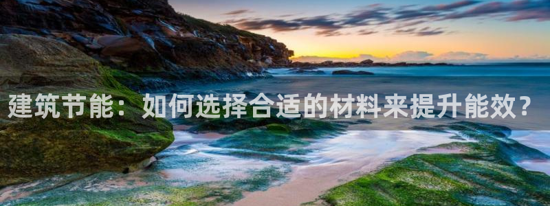 e尊国际是干什么的：建筑节能：如何选择合适的材料来提升能效？