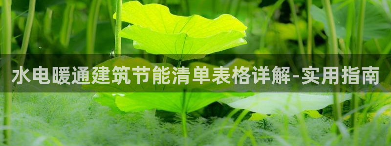 e尊国际客服：水电暖通建筑节能清单表格详解-实用指南