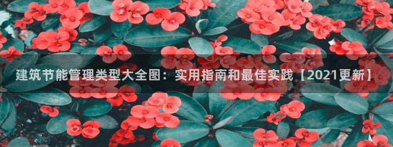 谁知道e尊国际的网址：建筑节能管理类型大全图：实用指南和最佳实践【2021更新】