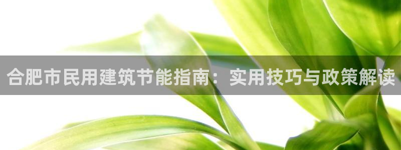 e尊平台：合肥市民用建筑节能指南：实用技巧与政策解读