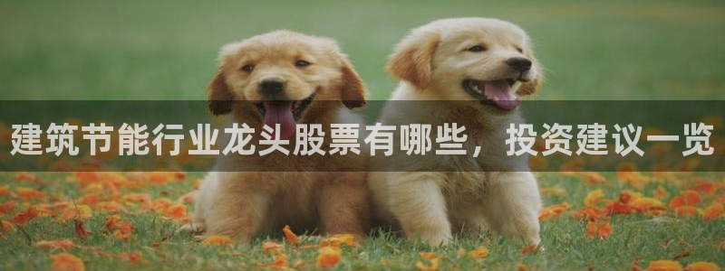 e尊国际7779：建筑节能行业龙头股票有哪些，投资建议一览