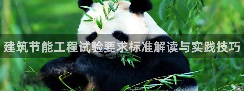 e尊国际-e尊国际官网：建筑节能工程试验要求标准解读与实践技巧