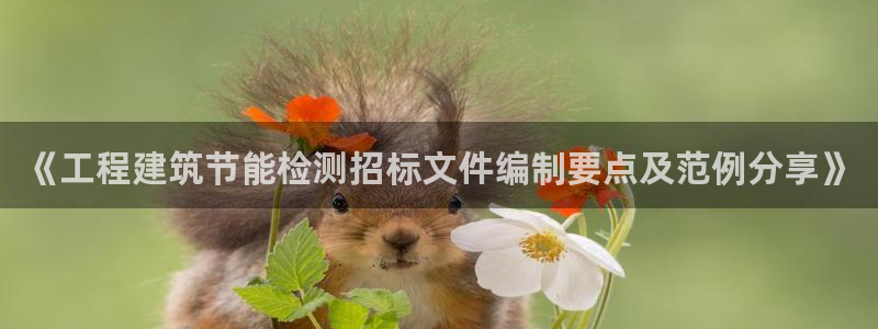 e尊体育：《工程建筑节能检测招标文件编制要点及范例分享》