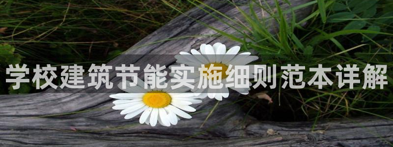 e尊国际娱乐官网下载：学校建筑节能实施细则范本详解