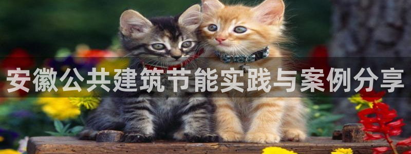 谁知道e尊国际的网址：安徽公共建筑节能实践与案例分享