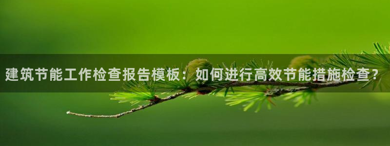 尊亿游戏国际官网：建筑节能工作检查报告模板：如何进行高效节能措施检查？