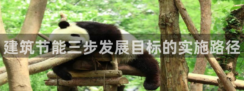e尊国际-可可计划：建筑节能三步发展目标的实施路径