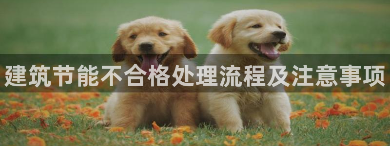 E尊国际网站：建筑节能不合格处理流程及注意事项