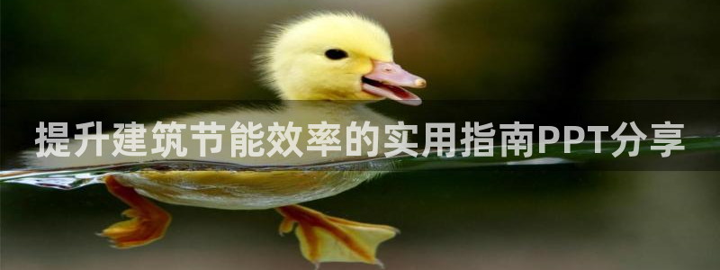e尊国际的手机登录网站：提升建筑节能效率的实用指南PPT分享