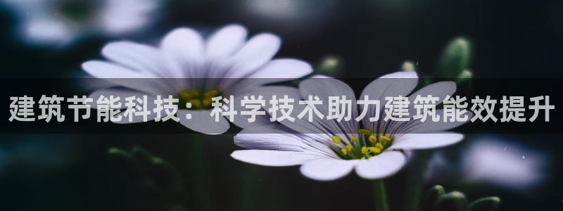 e尊国际官网：建筑节能科技：科学技术助力建筑能效提升