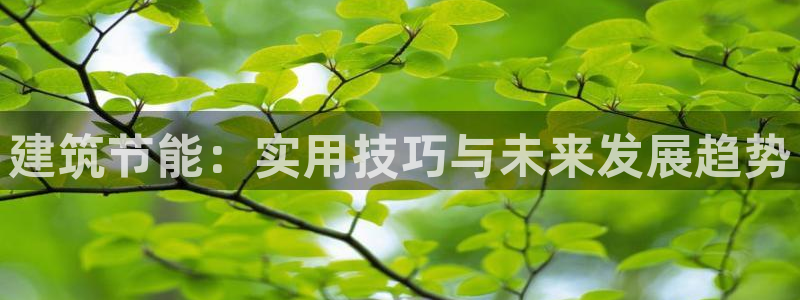 e尊体育：建筑节能：实用技巧与未来发展趋势