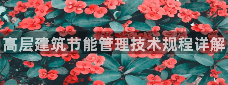e尊国际是干什么的：高层建筑节能管理技术规程详解
