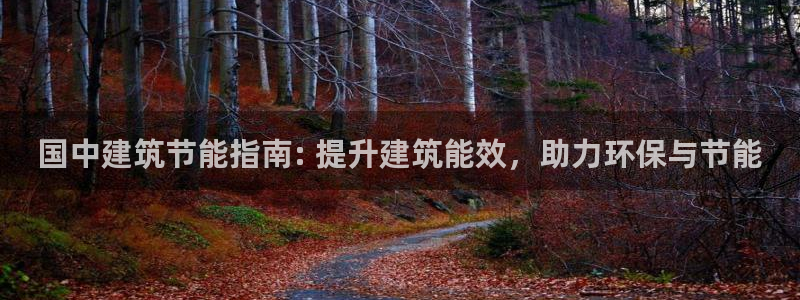 e尊国际地址：国中建筑节能指南: 提升建筑能效，助力环保与节能