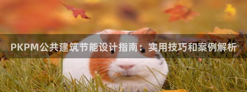 e尊国际平台：PKPM公共建筑节能设计指南：实用技巧和案例解析