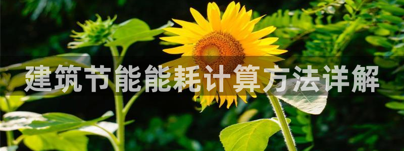 e尊国际官网：建筑节能能耗计算方法详解
