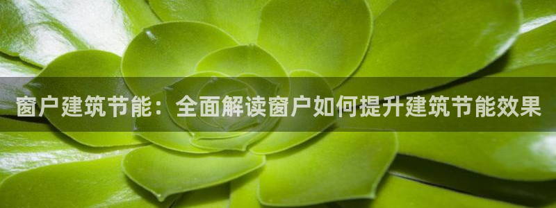 E尊国际：窗户建筑节能：全面解读窗户如何提升建筑节能效果