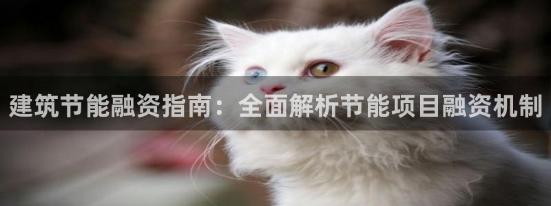 e尊国际客服：建筑节能融资指南：全面解析节能项目融资机制