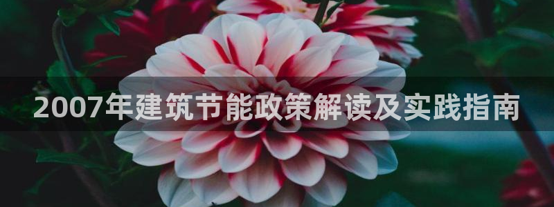e尊国际官网app：2007年建筑节能政策解读及实践指南