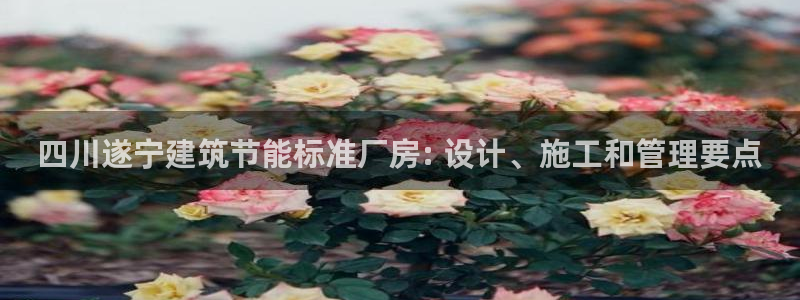 尊亿游戏国际官网：四川遂宁建筑节能标准厂房: 设计、施工和管理要点