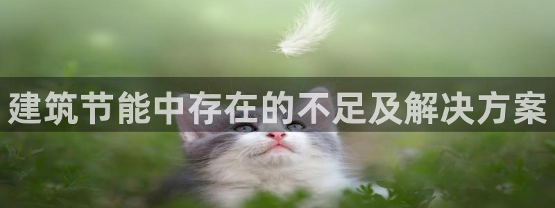 E尊国际网站
