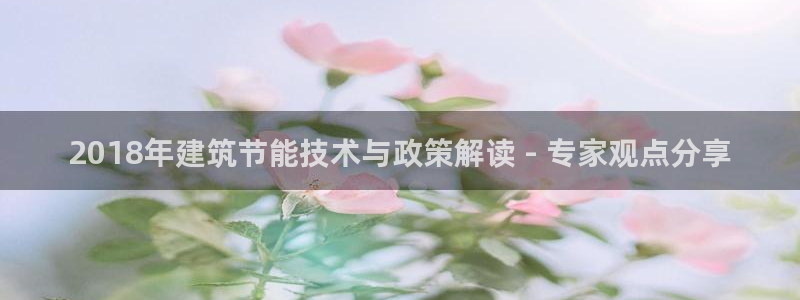 e尊国际-e尊国际官网：2018年建筑节能技术与政策解读 - 专家观点分享