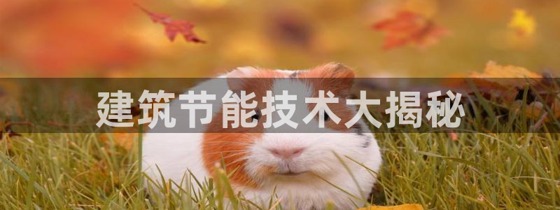 e尊国际客户端下载