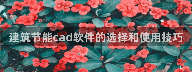 谁知道e尊国际的网址：建筑节能cad软件的选择和使用技巧